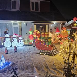 Winter wonderland 3D display